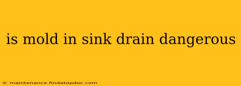 is mold in sink drain dangerous