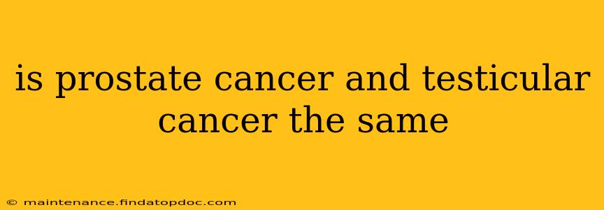 is prostate cancer and testicular cancer the same