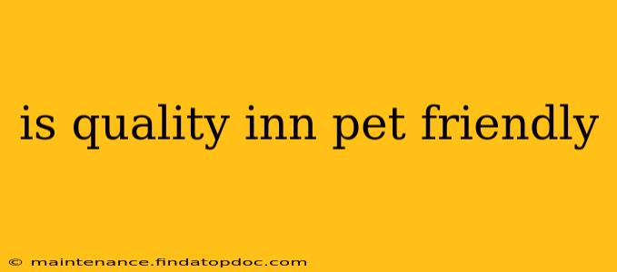 is quality inn pet friendly