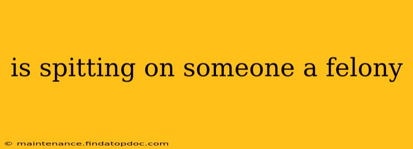 is spitting on someone a felony