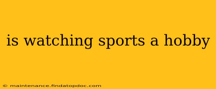 is watching sports a hobby