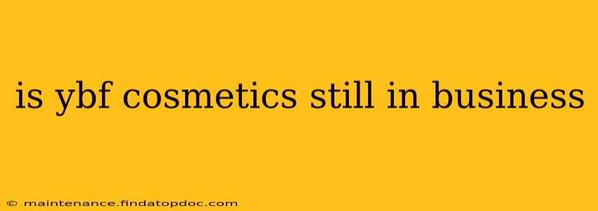 is ybf cosmetics still in business
