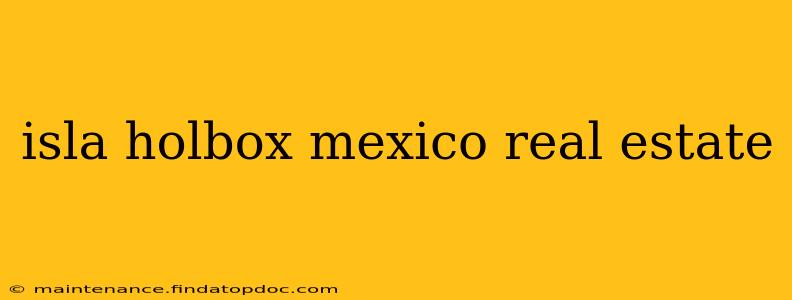 isla holbox mexico real estate