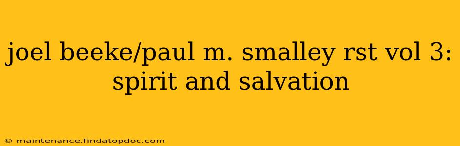 joel beeke/paul m. smalley rst vol 3: spirit and salvation