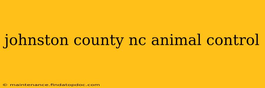 johnston county nc animal control