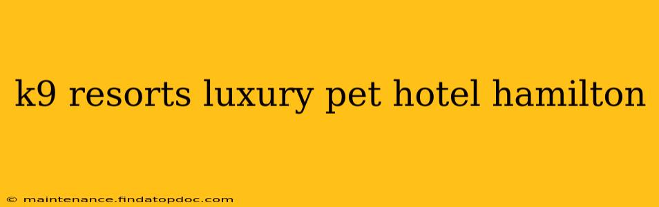 k9 resorts luxury pet hotel hamilton