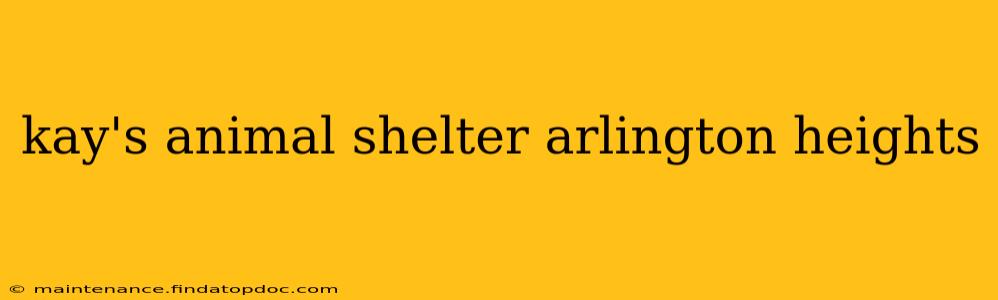 kay's animal shelter arlington heights