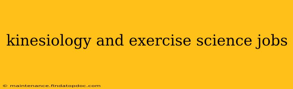 kinesiology and exercise science jobs