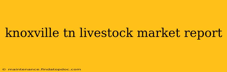 knoxville tn livestock market report