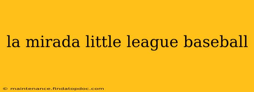 la mirada little league baseball