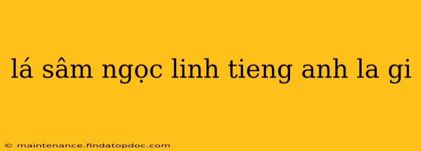 lá sâm ngọc linh tieng anh la gi