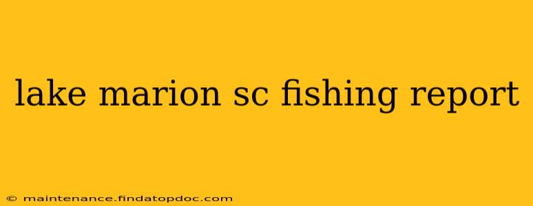 lake marion sc fishing report
