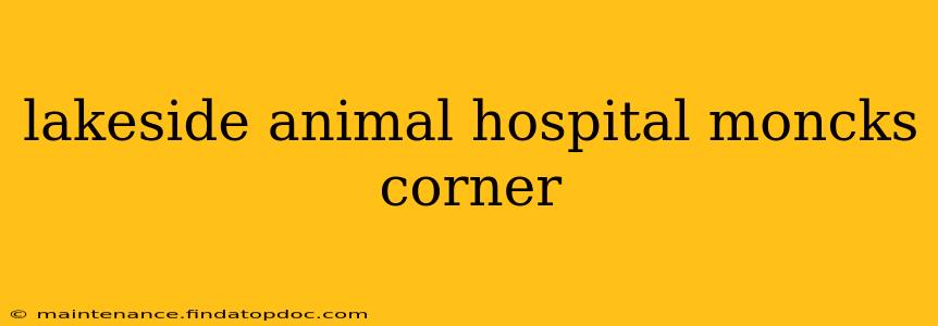 lakeside animal hospital moncks corner