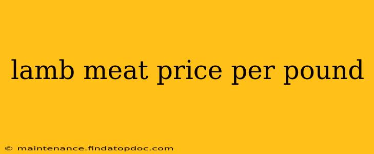 lamb meat price per pound