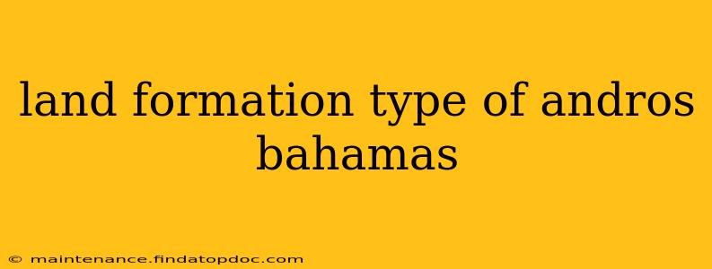 land formation type of andros bahamas