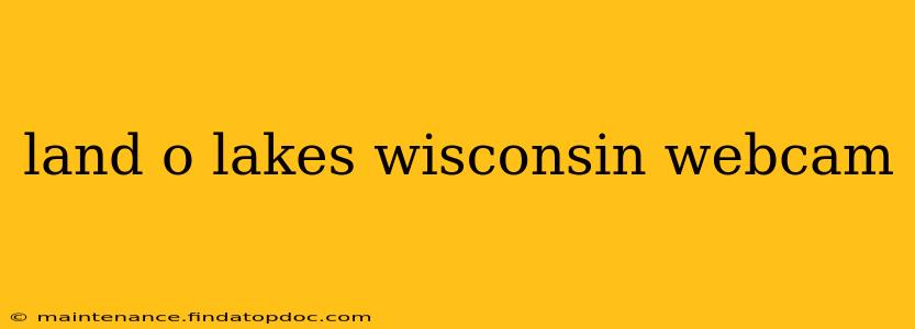 land o lakes wisconsin webcam