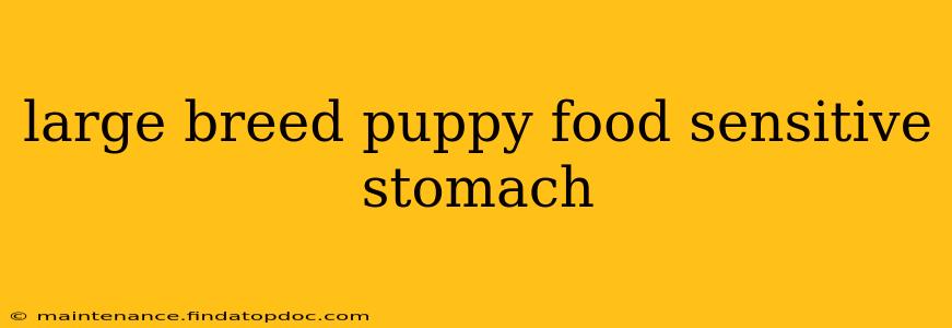 large breed puppy food sensitive stomach