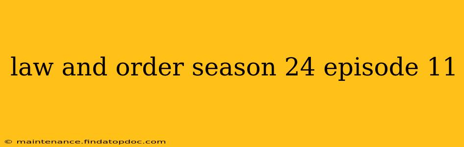 law and order season 24 episode 11