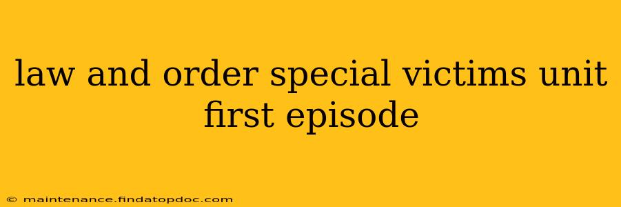 law and order special victims unit first episode