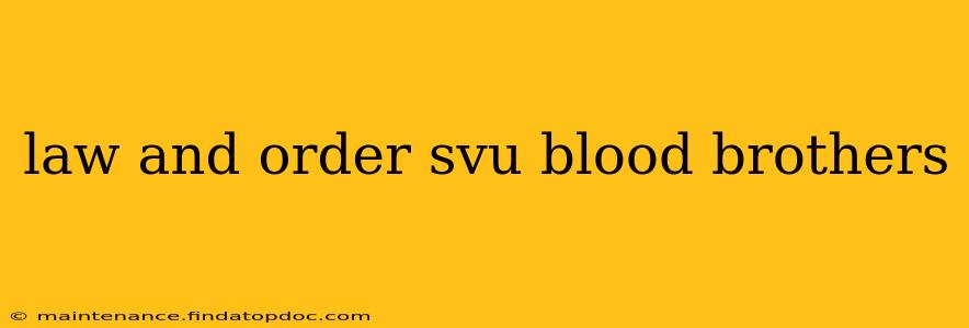 law and order svu blood brothers