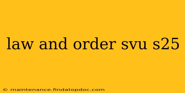 law and order svu s25