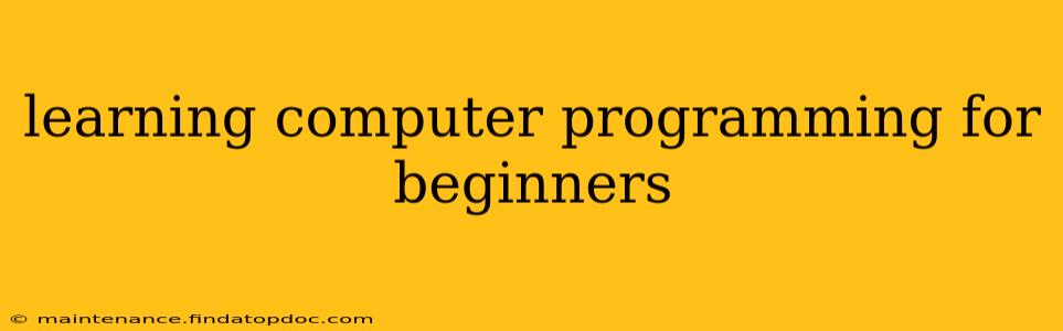 learning computer programming for beginners