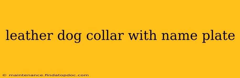 leather dog collar with name plate