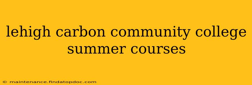 lehigh carbon community college summer courses