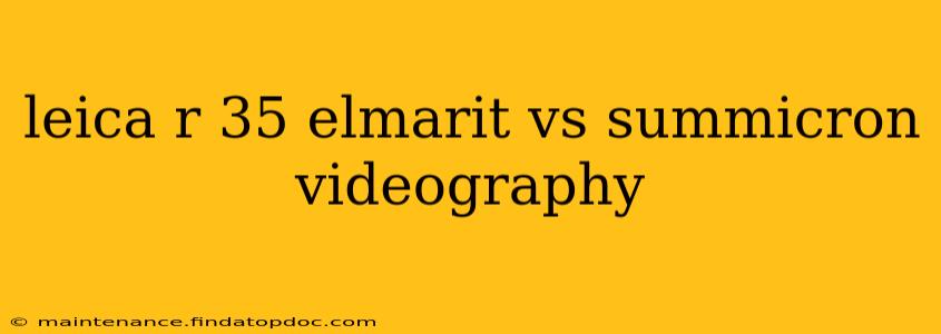 leica r 35 elmarit vs summicron videography