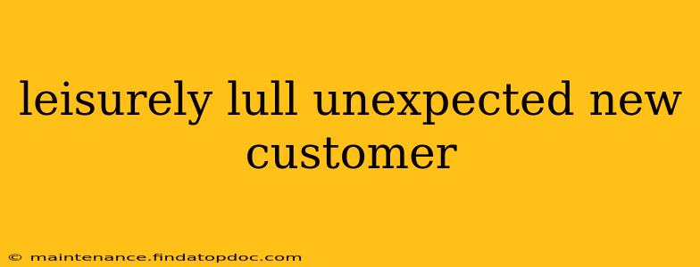 leisurely lull unexpected new customer