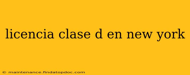 licencia clase d en new york