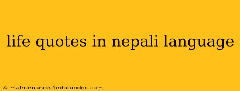 life quotes in nepali language