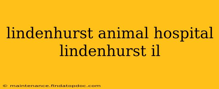 lindenhurst animal hospital lindenhurst il