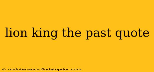 lion king the past quote
