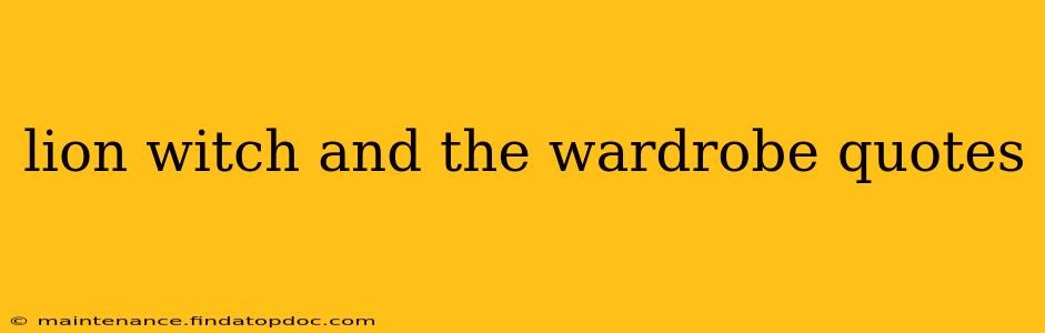 lion witch and the wardrobe quotes