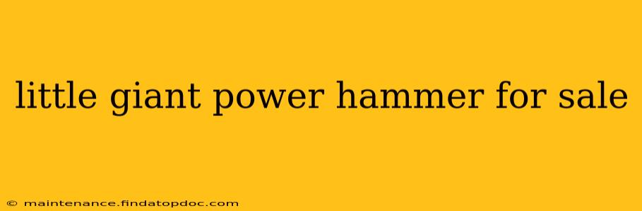 little giant power hammer for sale