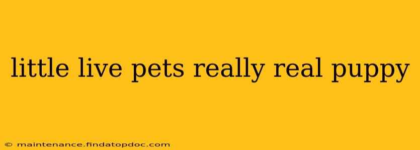 little live pets really real puppy