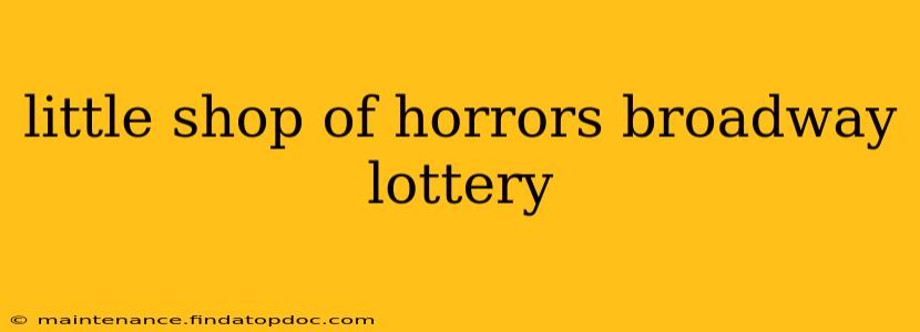 little shop of horrors broadway lottery