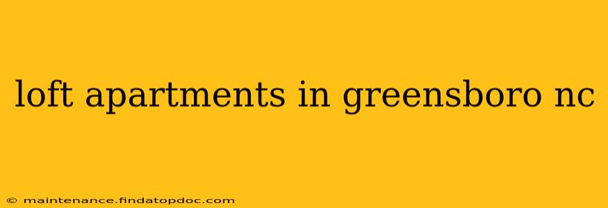 loft apartments in greensboro nc