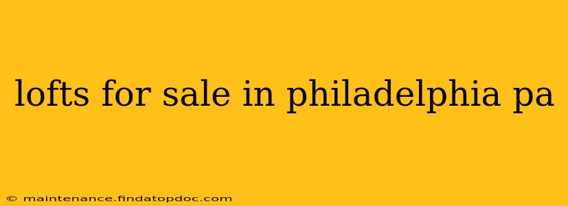 lofts for sale in philadelphia pa