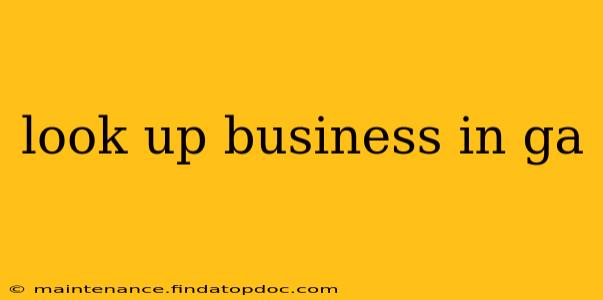 look up business in ga