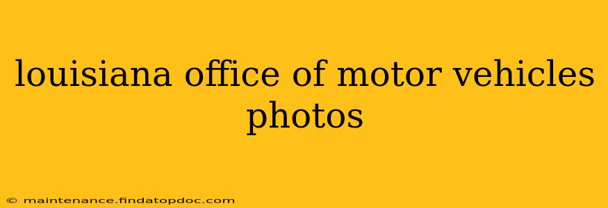louisiana office of motor vehicles photos
