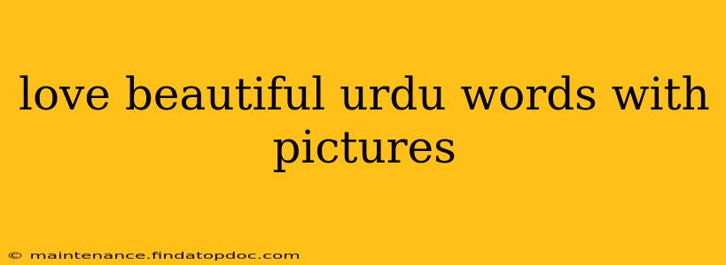 love beautiful urdu words with pictures