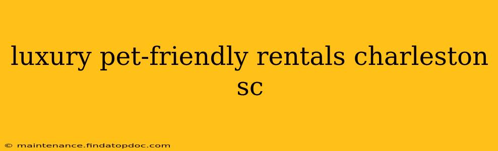 luxury pet-friendly rentals charleston sc