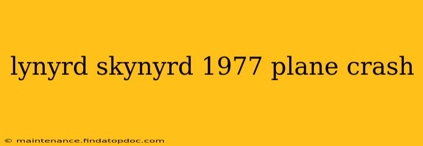lynyrd skynyrd 1977 plane crash