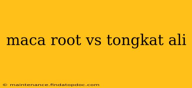 maca root vs tongkat ali