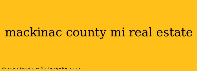 mackinac county mi real estate