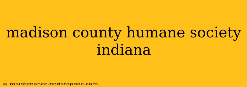 madison county humane society indiana