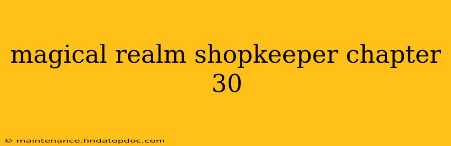magical realm shopkeeper chapter 30