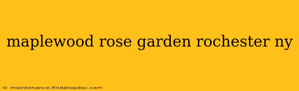 maplewood rose garden rochester ny